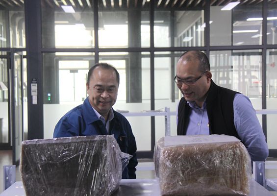 桐乡市副市长袁杰一行莅临首页-澳门(金沙)官网网站首页股份调研指导