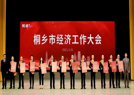 公司在桐乡市、洲泉镇两级经济工作大会上包揽多项荣誉